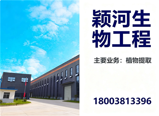 颖河焦作线上分站